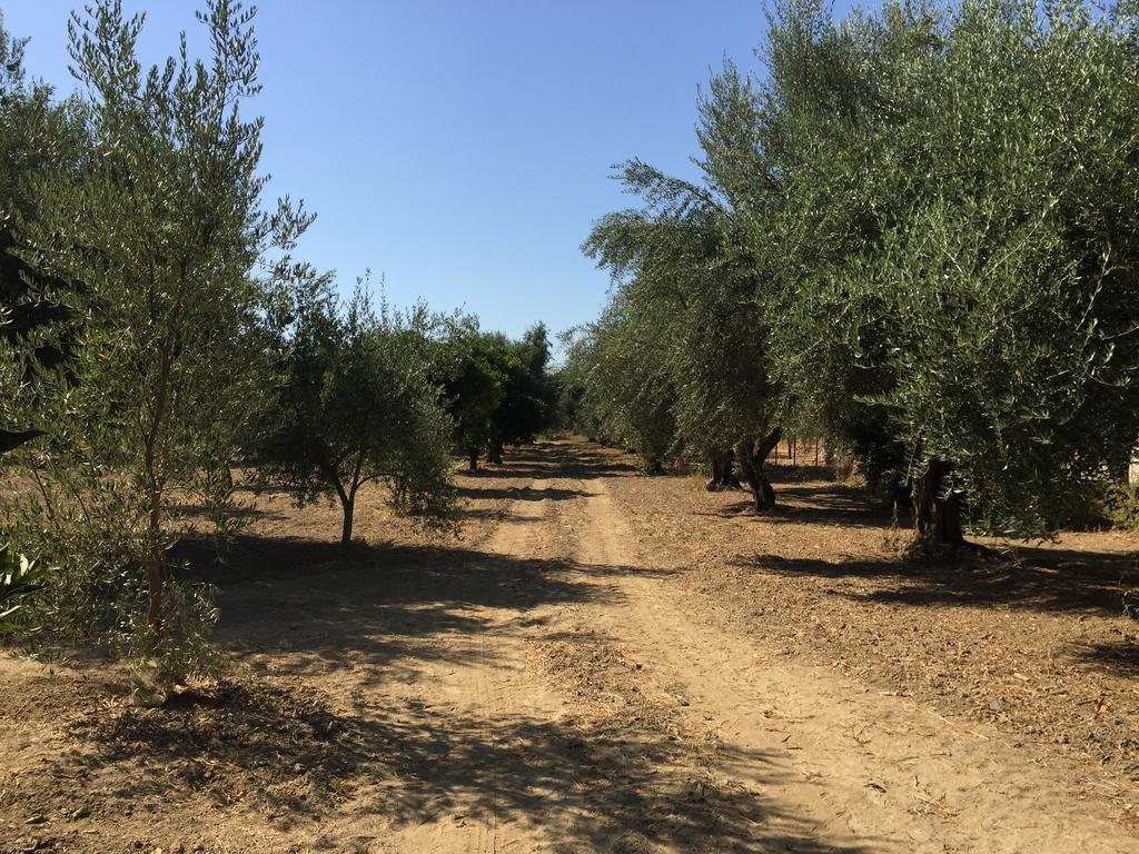 Вилла Elaianthos 1 Гитион Экстерьер фото